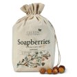 Sbebr (vaskendder) - 1000g