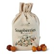 Sæbebær (vaskenødder) - 250g